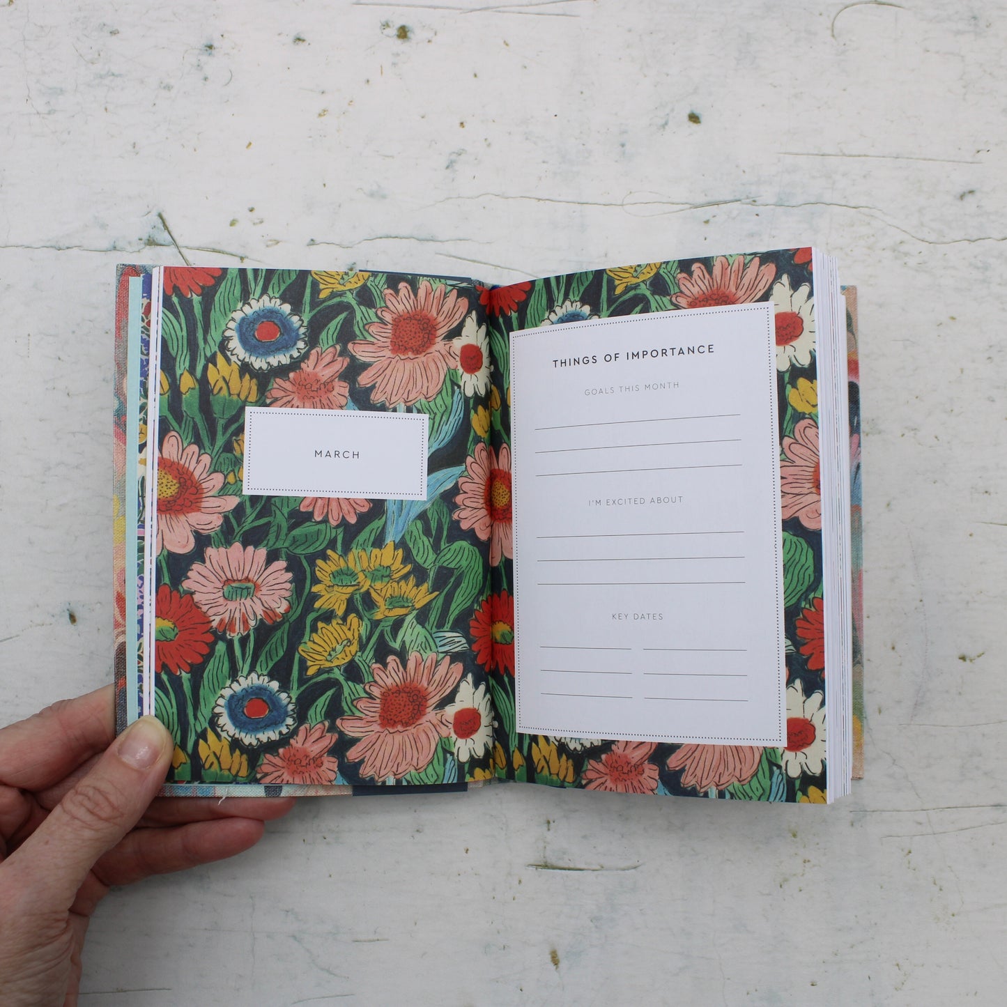 2026 Scalloped Marble Diary -A6
