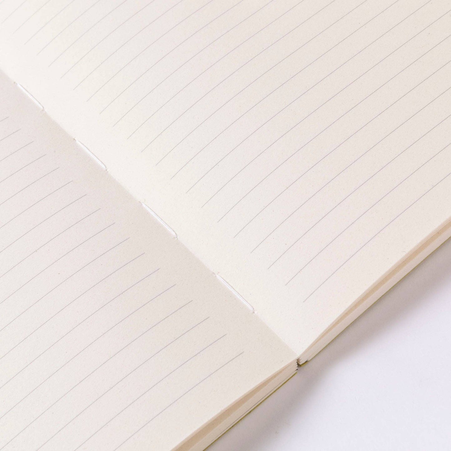 An A5 green notebook with grass cover from the Pencil Me In stationery shop.