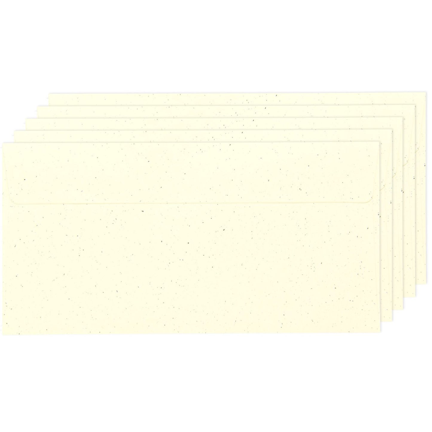 Paper Poetry "Renew" DL Envelopes - 2 colours