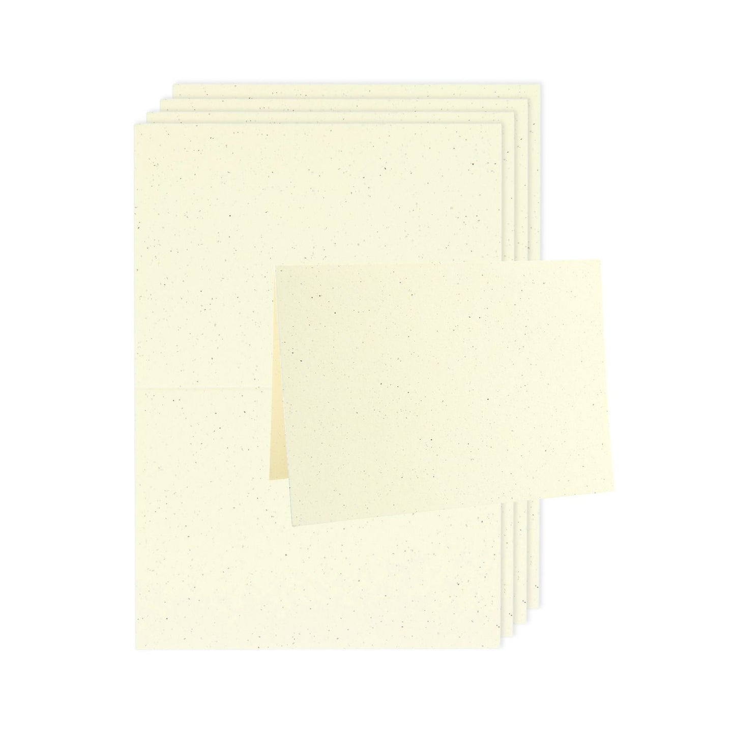 Paper Poetry "Renew" A6 blank folded cards - 2 colours