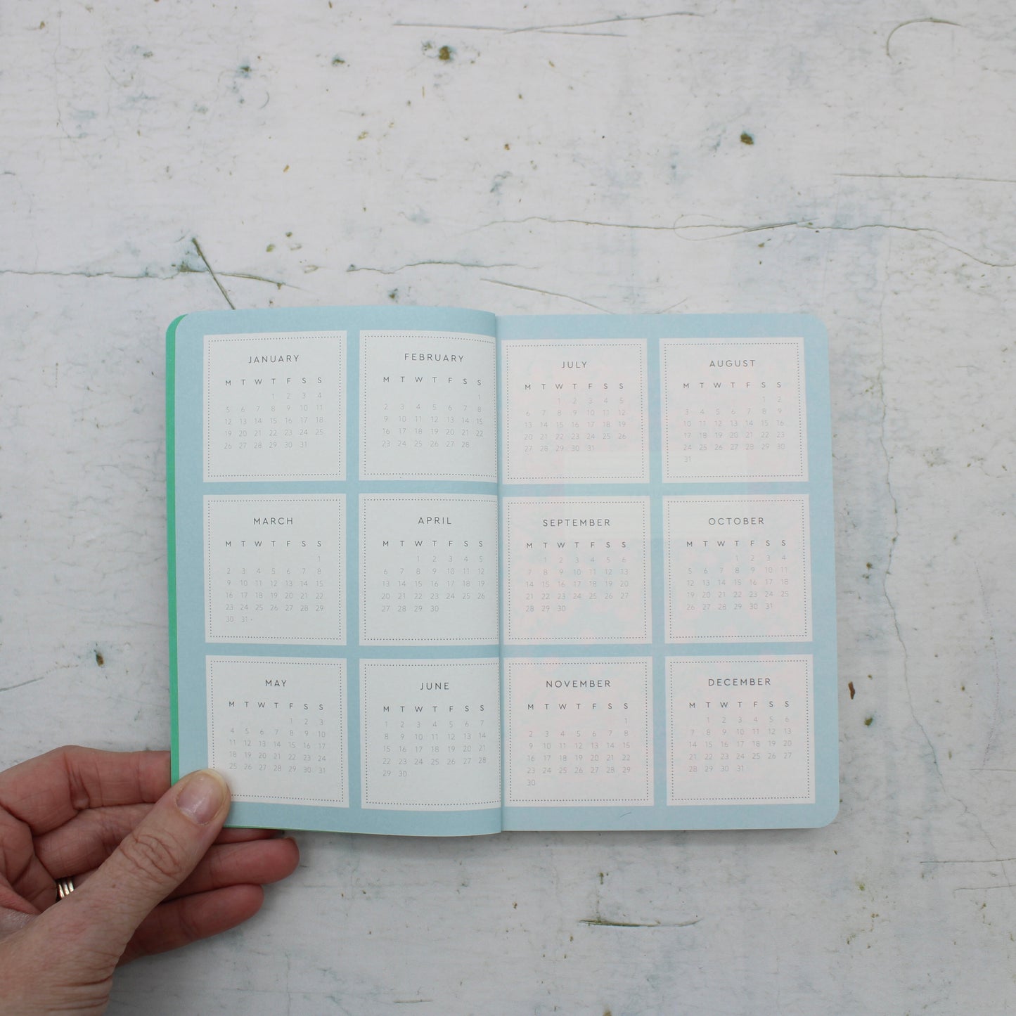 2026 Neon Floral Peacock Paperback Diary -A6