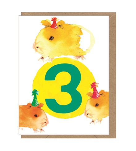 Guinea Pig 3rd Birthday Mini Card