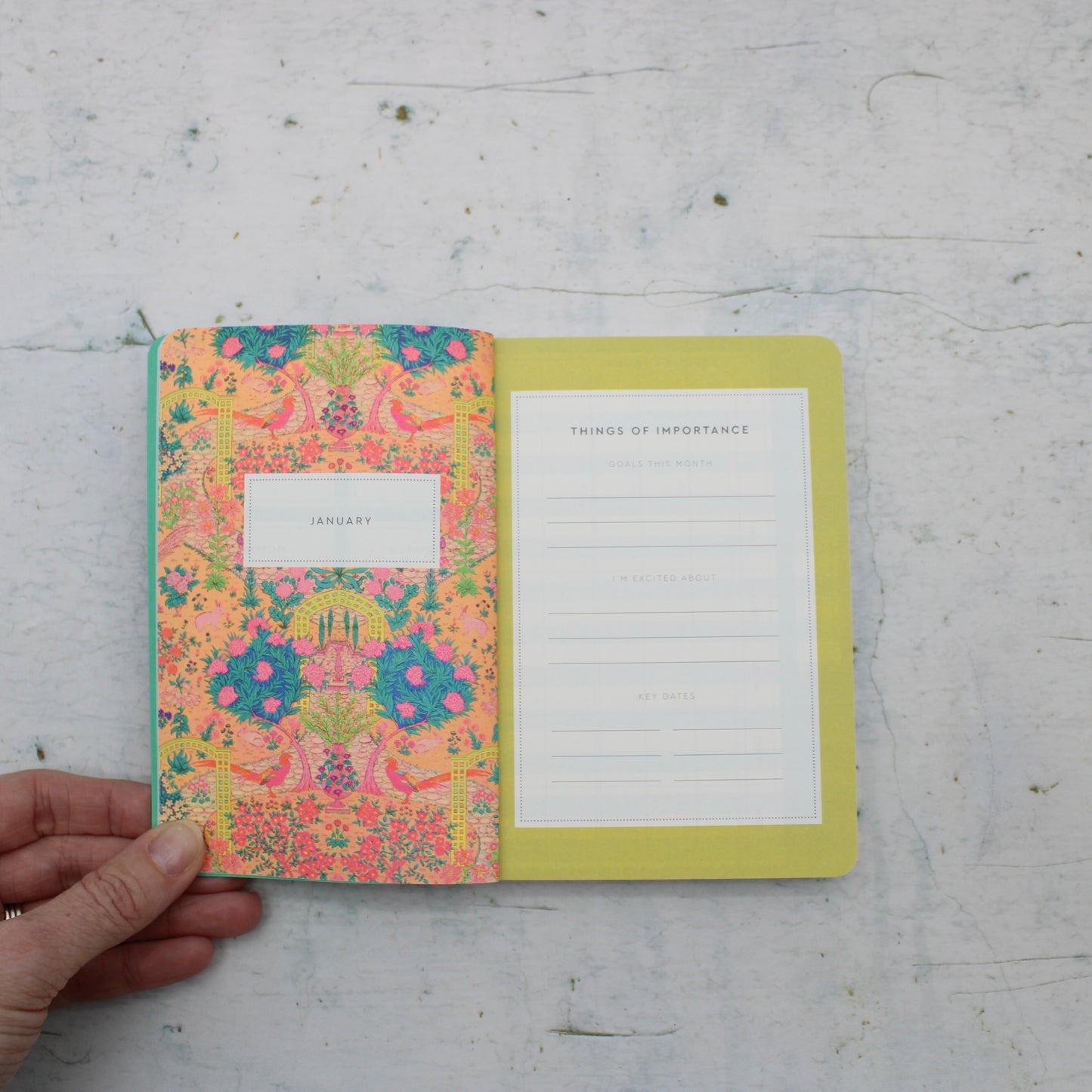 2026 Neon Floral Peacock Paperback Diary -A6