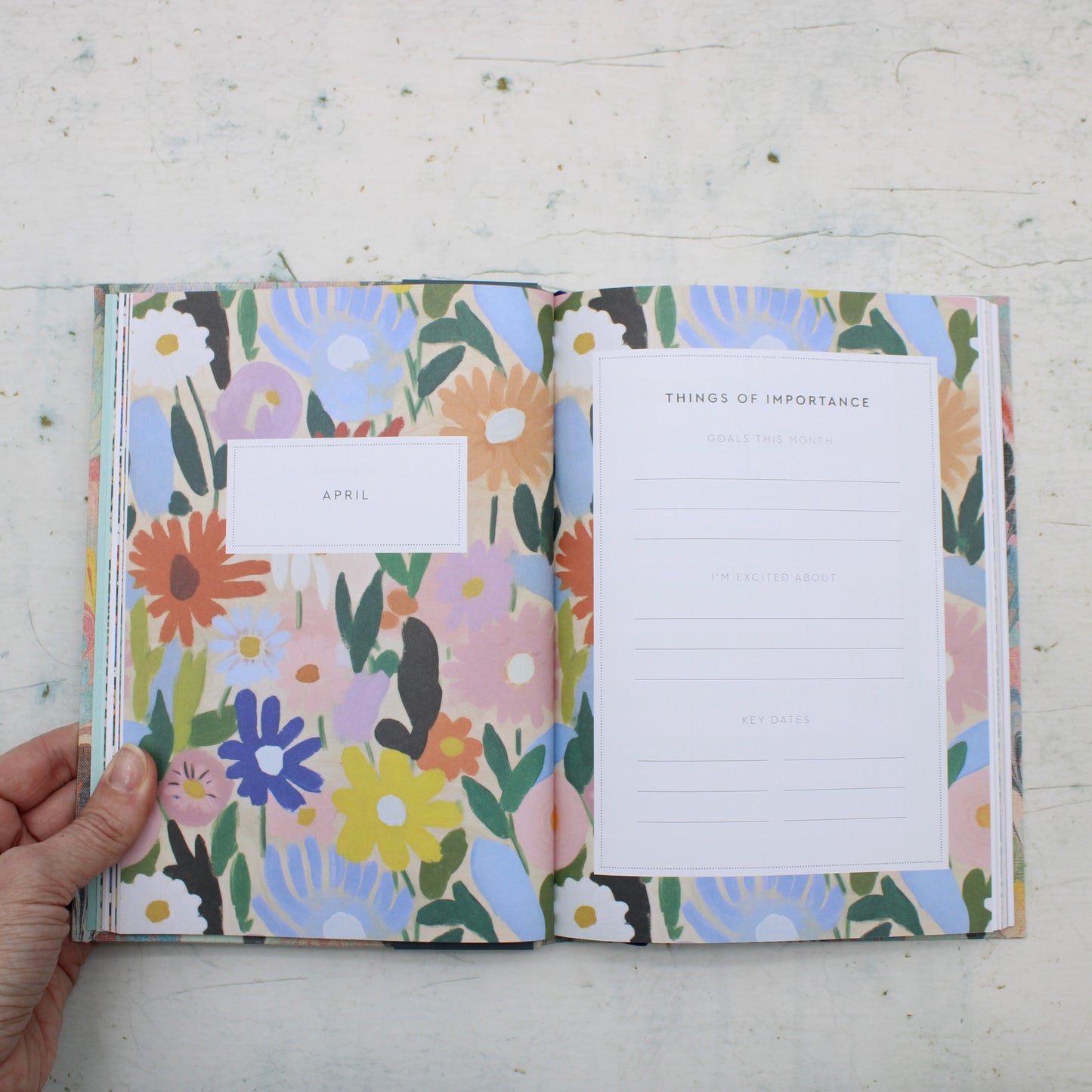 2026 Scalloped Marble Diary - A5
