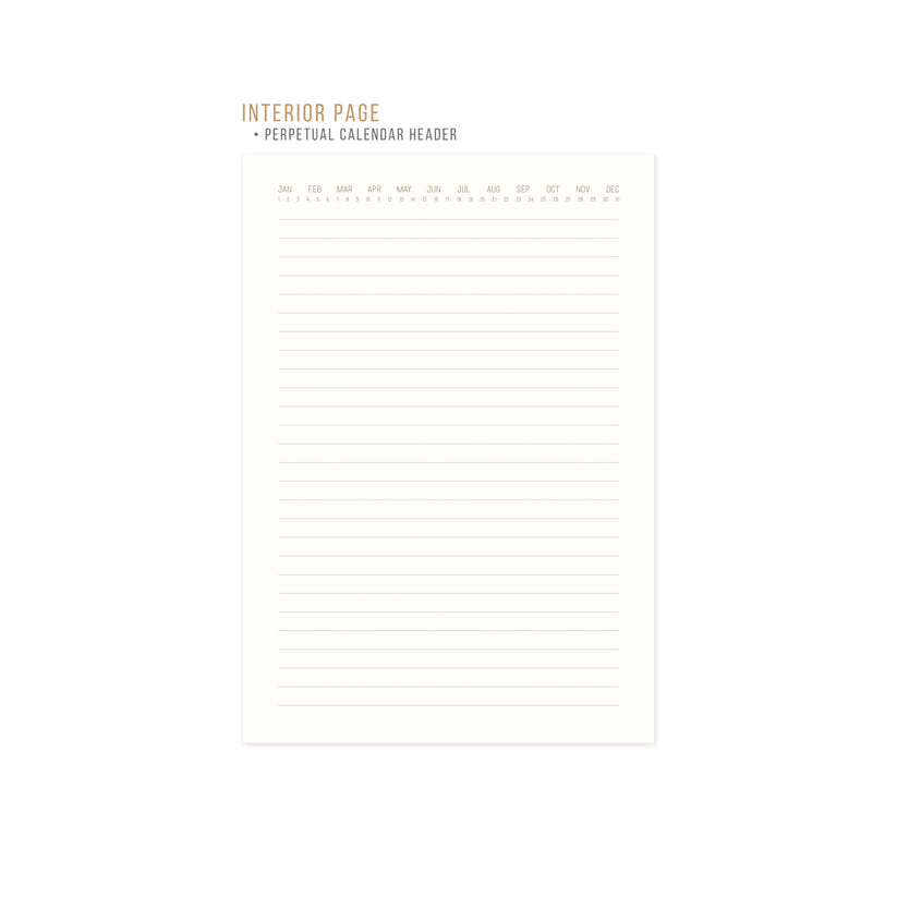 Suedette Blue Journal - Arch Dot