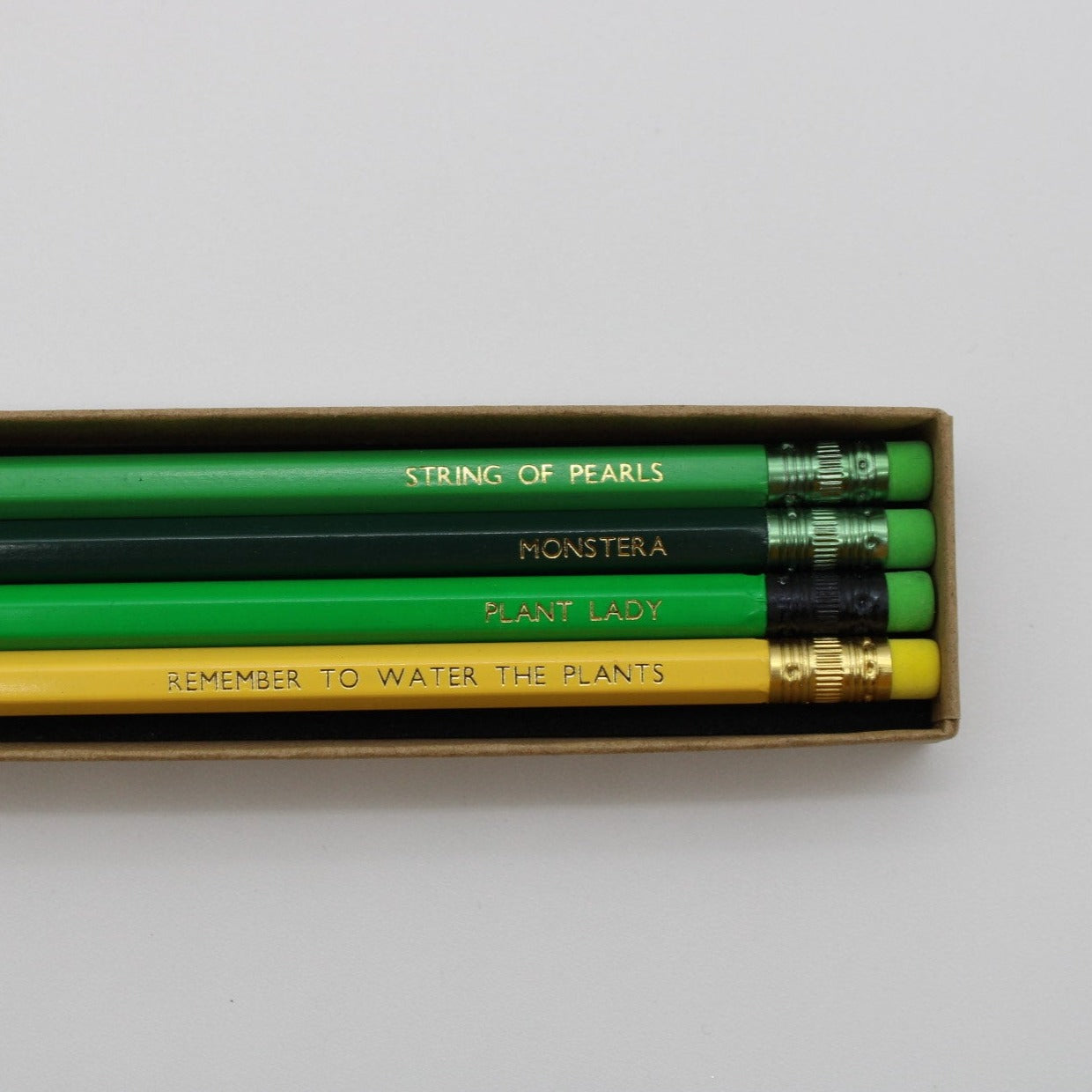 Plant Pencil Box Set