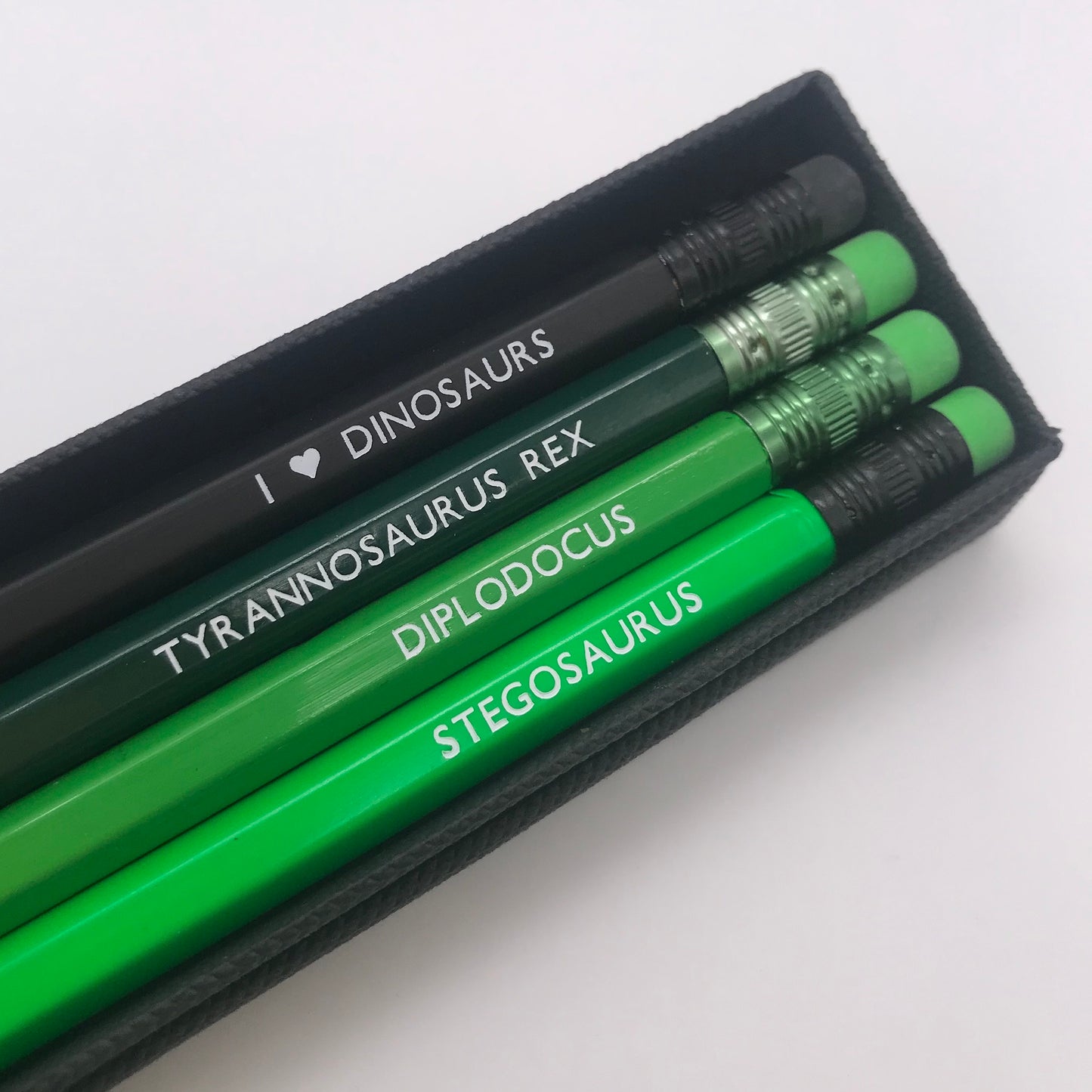 Dinosaur Pencils Set