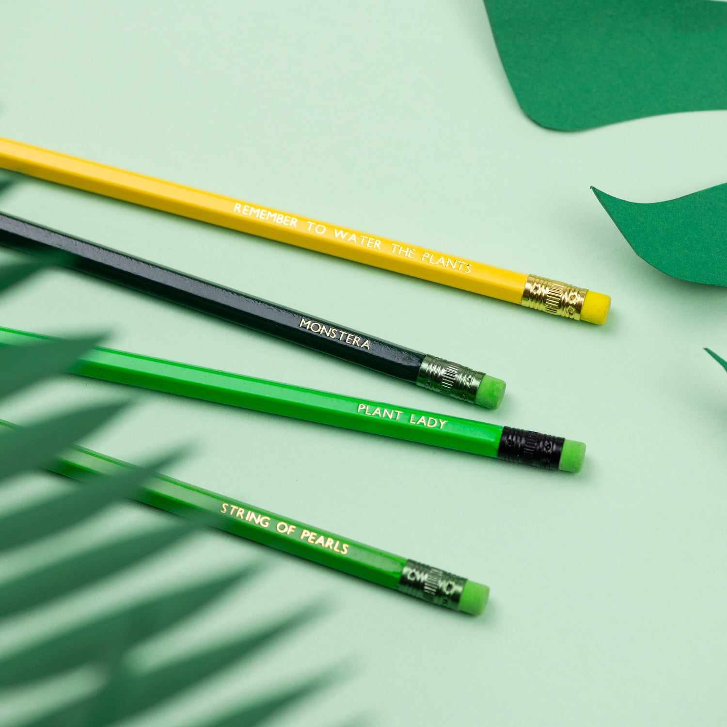 Fun Printed Pencils