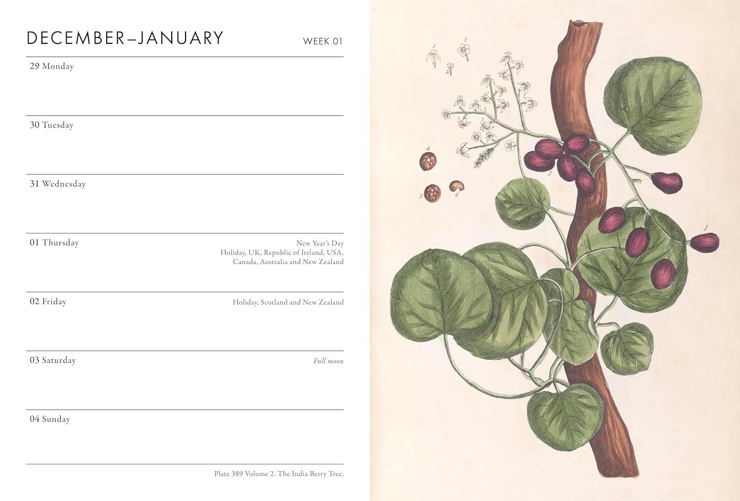 A Calendar page with botanical illustration of a leafy branch and berries from the Pencil Me In stationery shop.