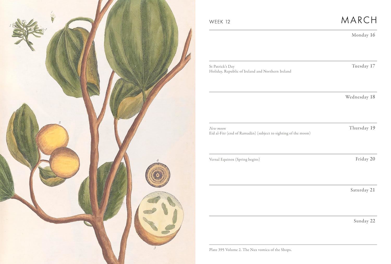 A Calendar page with botanical illustration and March month layout from the Pencil Me In stationery shop.