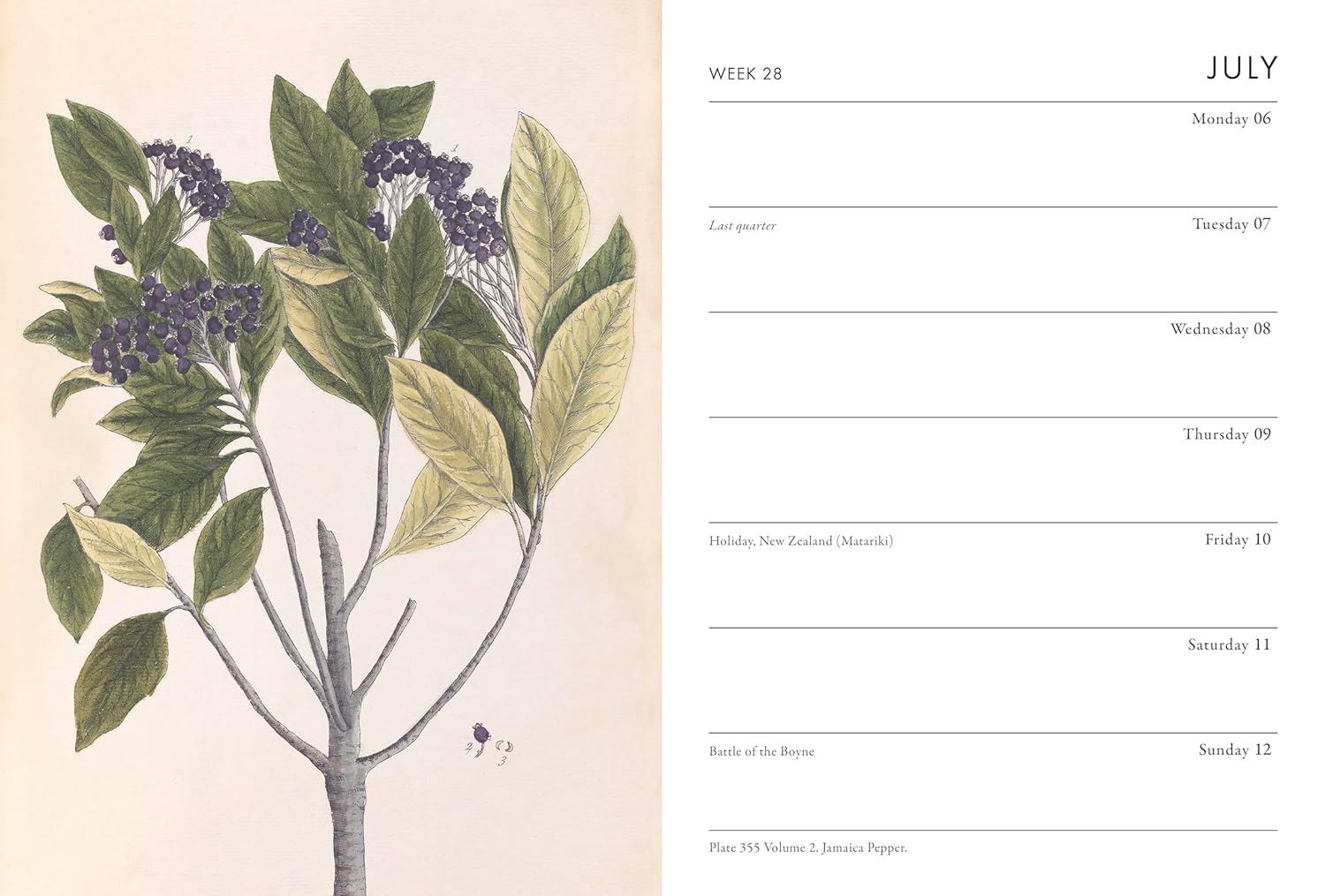 A Calendar page with botanical illustration of a plant on the left and calendar layout on the right from the Pencil Me In stationery shop.