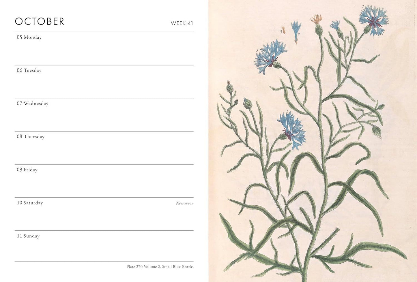 A Calendar page for October with floral design on the right side from the Pencil Me In stationery shop. 