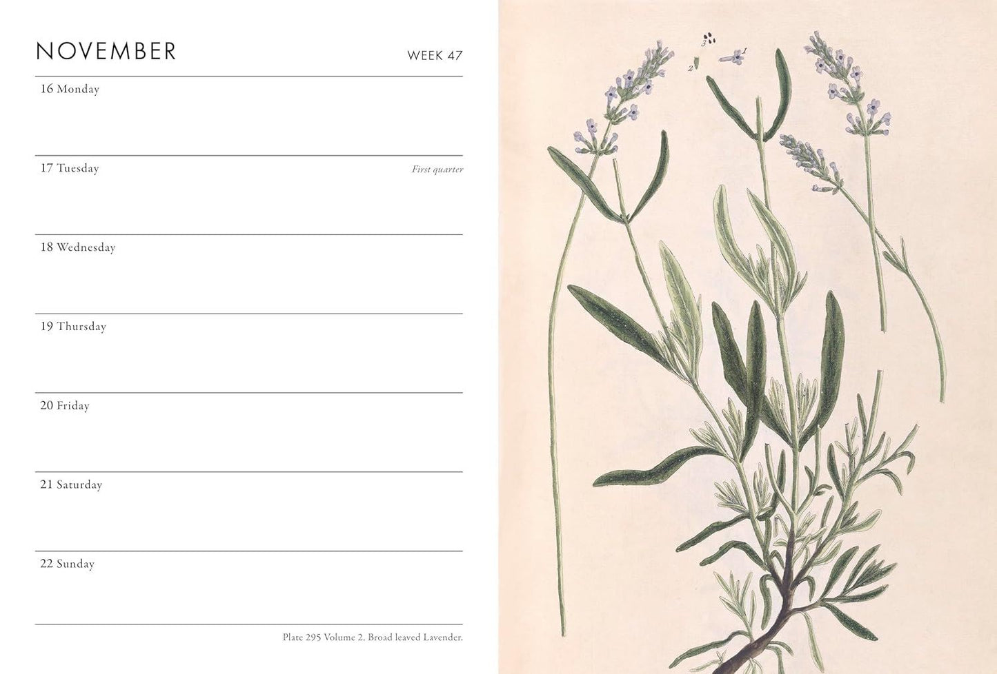 A Weekly planner with botanical illustration from the Pencil Me In stationery shop. 