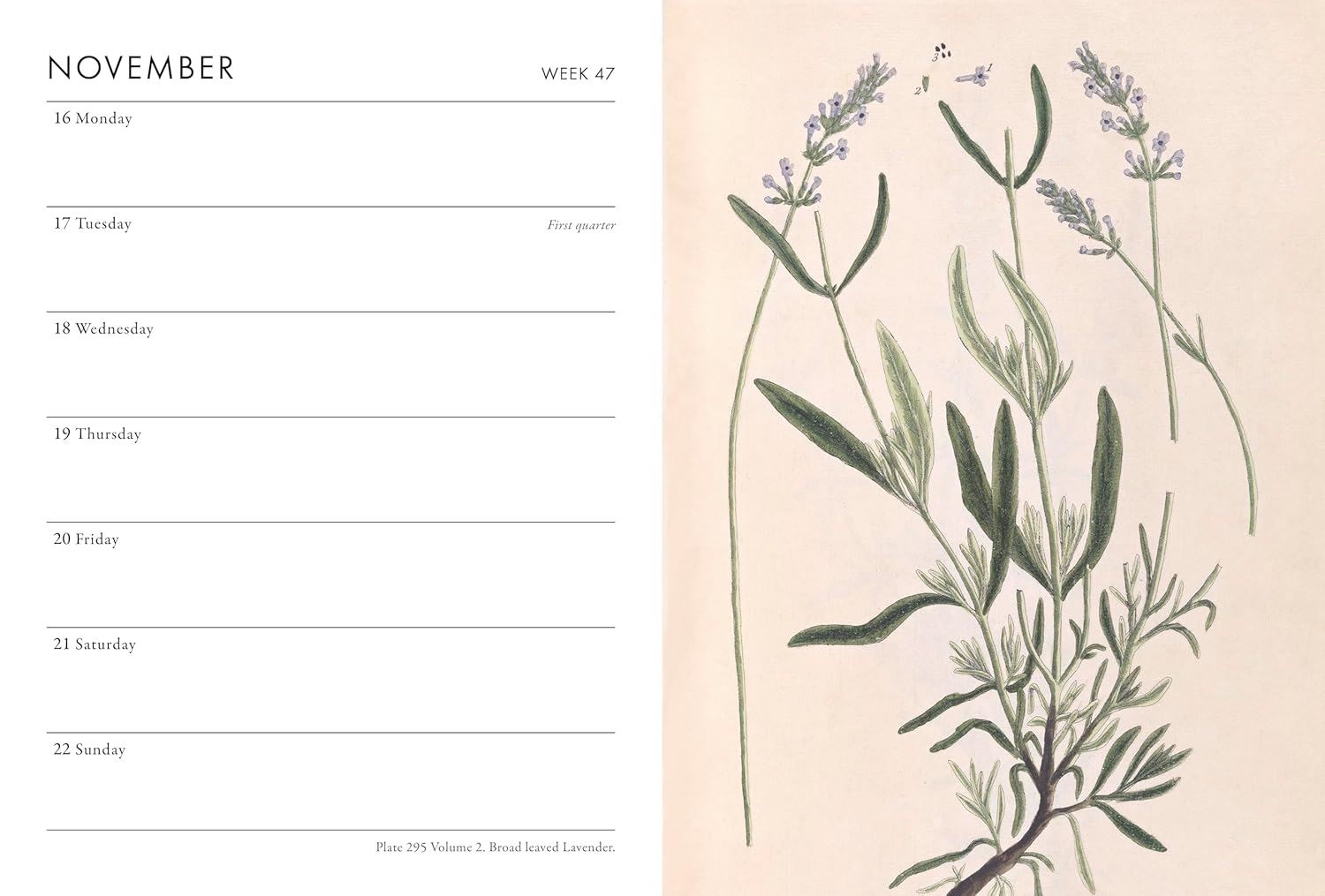 A Weekly planner with botanical illustration from the Pencil Me In stationery shop. 