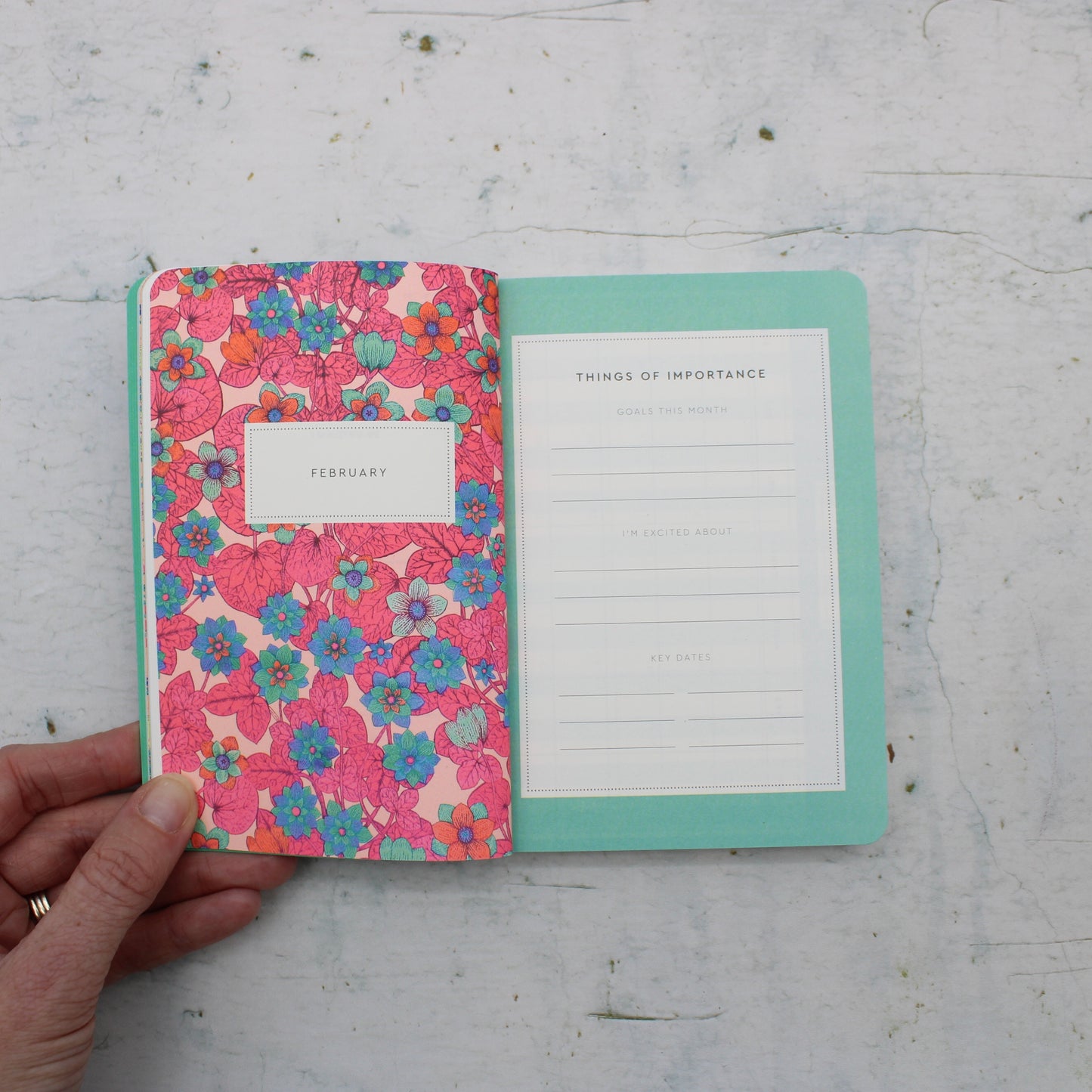 2026 Neon Floral Peacock Paperback Diary -A6