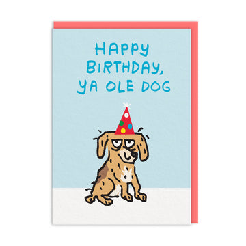 Happy Birthday Old Dog