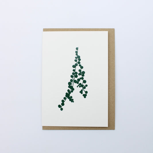String of Pearls
