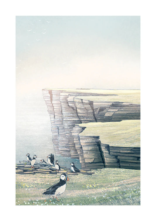 Noss Puffins Print - A3
