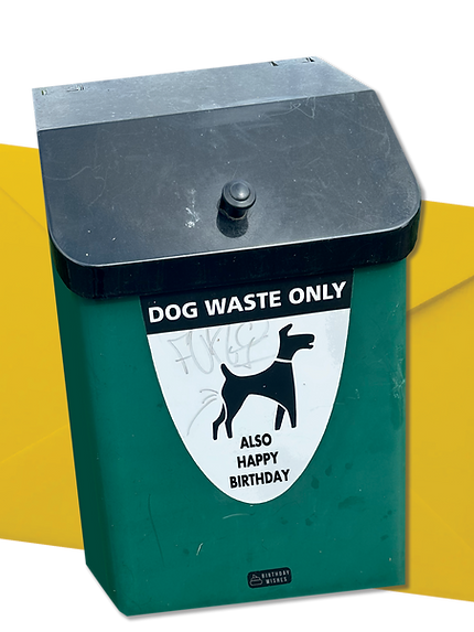 Dog Waste Only card