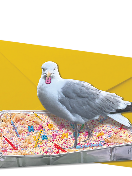Birthday Cake Seagull card