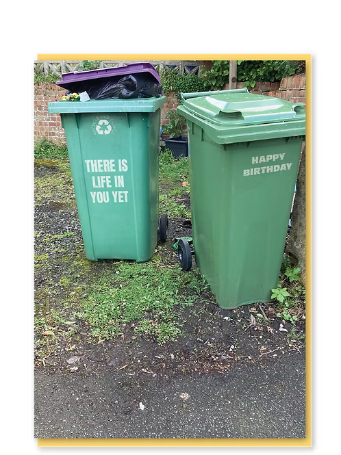 Life in you yet  Bin card