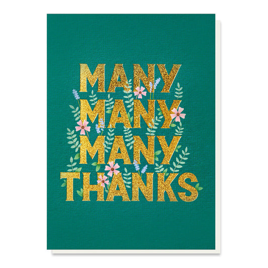 Many Many Many Thanks