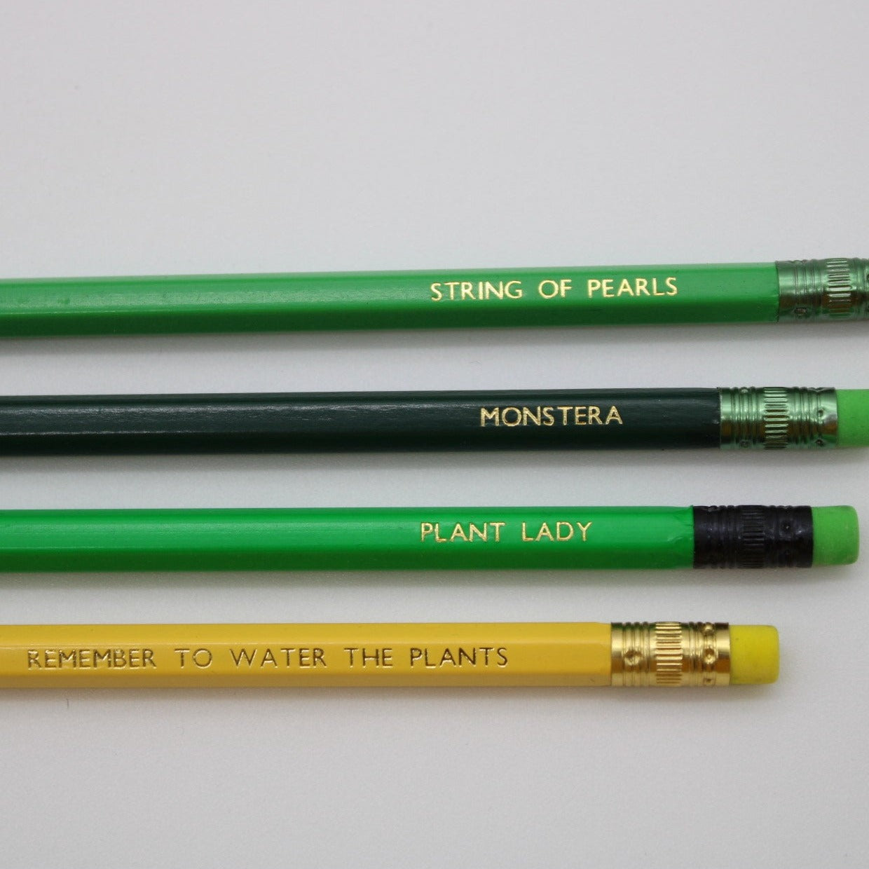 Plant Pencil Box Set